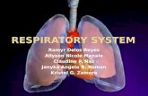 Comparative Anatomy - Respiratory System