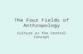 Four fields in anthropology