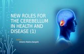 New roles for the cerebellum