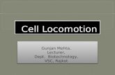 Cell locomotion