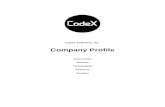 CodeX Software | Company Profile 2013