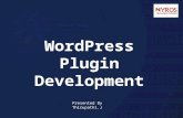 Word Press Plugin Development By Nyros Developer