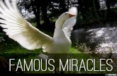 Famous Miracles