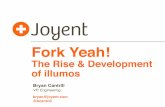 Fork Yeah! The Rise and Development of illumos