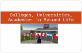 Colleges & Universities In Second Life