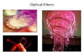 6796.optical fibres