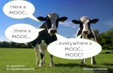 Here a MOOC, There a MOOC....at your school a MOOC...MOOC?