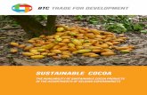 The availability of sustainable cocoa products in Belgian supermarkets