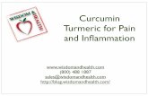 Curcumin Tumeric for Arthritis Pain and Inflammation