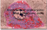 Evolution of prokaryotic and eukaryotic cells