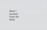 What i learned from the Mole