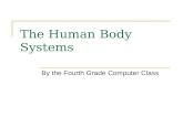 The human body systems1