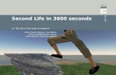 Second Life in 3600 seconds - Staff development week at ILRT 2007
