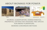 About  biomass for power
