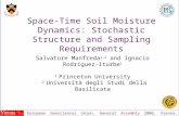 Space-Time Soil Moisture Dynamics