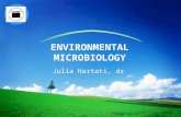 Environmental microbiology 2009