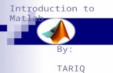 Brief  Introduction to Matlab