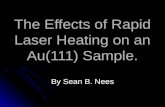The Effects on Rapid Laser Heating on a Au (111) Sample