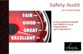 Safety Audit: An Overview