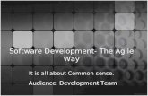 Software Development The Agile Way