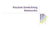 Unit i  packet switching networks