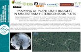Session 5.2 Mapping of plant light budgets  in multistrata heterogeneous plots