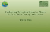 Evaluating Terrestrial Invasive Plant Species in Eau Claire County, WI
