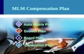 Grow Your Business Using Best Compensation Plan