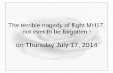 The terrible tragedy of flight mh17  not ever to be forgotten !