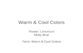 3 12 Warm & Cool Colors