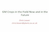 GM crops now and in the future - Uganda - November 2012