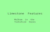 Limestone  Features Around Malham