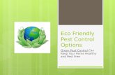 Eco Friendly Pest Control Options - Green Pest Control Can Keep Your Home Healthy and Pest Free