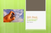 DIY Pest Control – Not Here