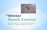 Winter roach control  just because it’s cold outside does not mean your roach problem is gone