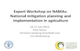 Expert Workshop on NAMAs by Wollenberg Lini
