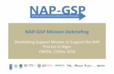 NAP-GSP - Niger Mission Debriefing