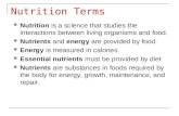 Food choices and nutrition basics