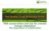 The importance of collaboration on PGRFA conservation and use