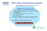 Water Productivity analysis of the Indo-Ganges Basin