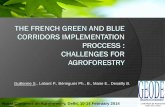Session 3.6 the french green & blue corridors implementation process