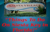 Things To Do On Siesta Key In Florida