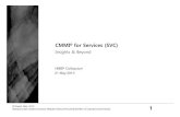 CMMI for Services - Insights and Beyond