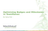 Optimizing Badges and Milestones in TeamRaiser Webinar