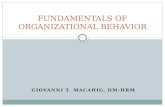 Fundamentals of organizational behavior ppt