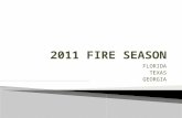 2011 fire season