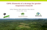 Elements of a strategy for gender responsive research