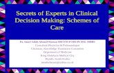 Experts decision making schemes slide share