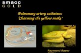 Raper, Ray — Charming the Yellow Snake: Pulmonary Artery Catheters