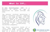 IVF Treatment In India !!
